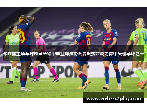 弗赖堡主场草坪质量获德甲职业球员协会高度赞誉成为德甲最佳草坪之一